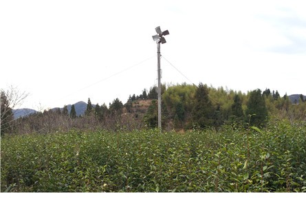 茶園防霜機(jī)