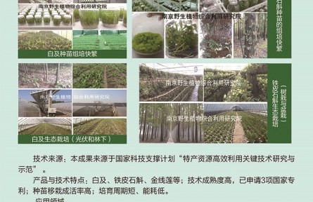 功能性植物種苗工廠化組培快繁、生態(tài)立體種植及高值產(chǎn)品開發(fā)