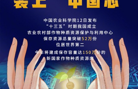 種業(yè)裝上“中國芯” 我國保存種質資源總量突破52萬份位居世界第二