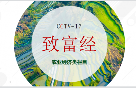 CCTV-17農(nóng)業(yè)農(nóng)村頻道-《致富經(jīng)》欄目服務(wù)