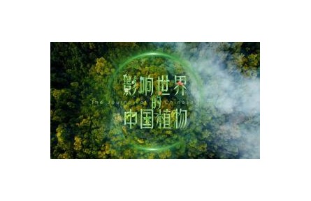 影響世界的中國(guó)植物 第1集 植物天堂