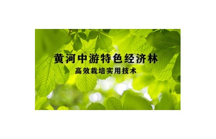 1 沙棘資源培育和利用技術(shù)—《黃河中游特色經(jīng)濟林高效栽培實用技術(shù)》