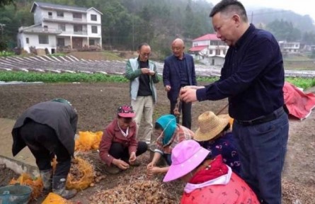 “新農(nóng)人”于斌武：20年大山耕耘 讓硒土地上遍開“土豆花”