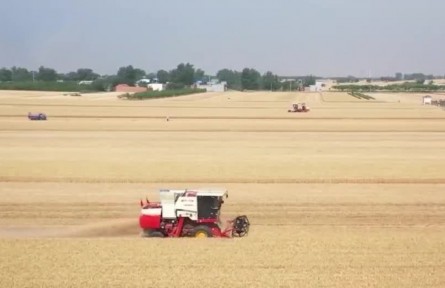 【在希望的田野上·三夏時節(jié)】夏收加快推進 高效農機力促提質增效