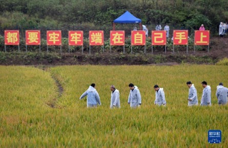 “國家科技創(chuàng)新力的根本源泉在于人”——習近平關心科技工作者的故事