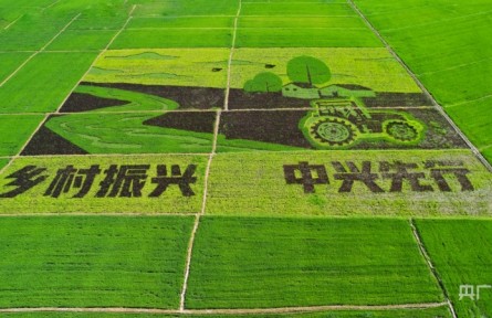 黑龍江牡丹江：“大糧食”做出餐桌大文章 “新農(nóng)旅”書(shū)寫(xiě)鄉(xiāng)村新詩(shī)篇