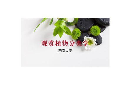 《觀賞植物分類學》講座系列視頻