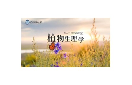 《植物生理學》課程系列視頻