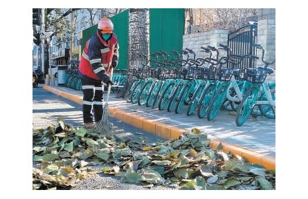 北京：落葉景觀引發(fā)市民好奇 城市綠化垃圾是如何處理的