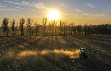 世界土壤日 World Soil Day