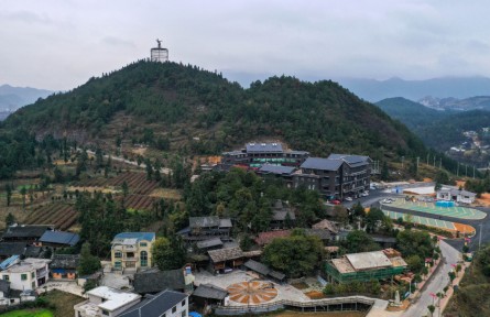 二十大代表在基層 | 余留芬：播撒“致富”種子 同享“共富”果實