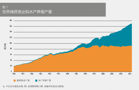 科普 | 在海洋中“放牧”——海洋如何變糧倉？