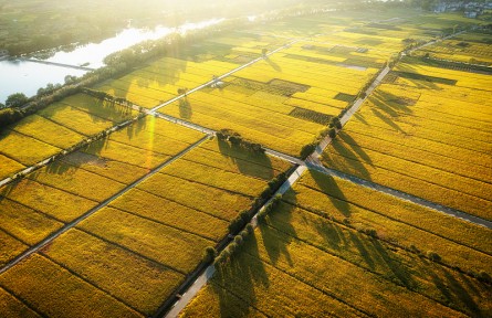 科技名詞 | 灌區(qū)  irrigation district，irrigation area