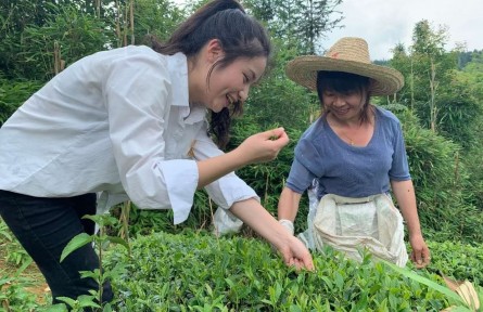 武夷學院：“茶小科”扎根田間地頭 助力鄉(xiāng)村振興