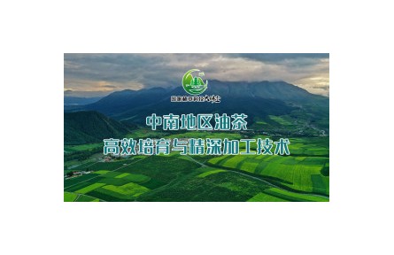 《中南地區(qū)油茶高效培育與精深加工技術》系列講座視頻