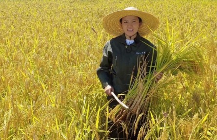 全國三八紅旗手標(biāo)兵陳雨佳：爭做興糧節(jié)糧行動派 當(dāng)好鄉(xiāng)村振興新農(nóng)人