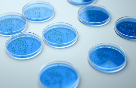 科技名詞 | 微生物 microorganism