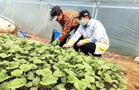 白靜華：芳華獻給田野 技術(shù)改變農(nóng)業(yè)