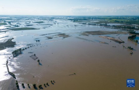 記者五常農(nóng)田實地探訪：強降雨對五常大米有何影響？