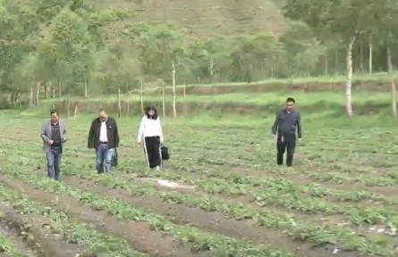 青海：暢通農牧民職稱晉升通道 助力鄉(xiāng)村人才振興