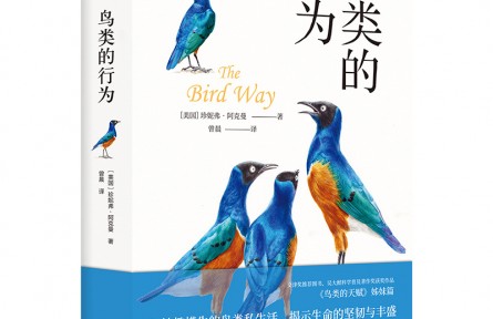 妙趣橫生的鳥類私生活，顛覆你的傳統(tǒng)認(rèn)知