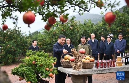 習近平在浙江考察時強調 始終干在實處走在前列勇立潮頭 奮力譜寫中國式現代化浙江新篇章 返京途中在山東棗莊考察