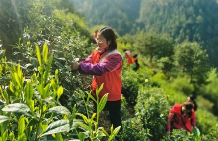 “全國三八紅旗手”江紫霞：多為群眾辦實事，心里踏實