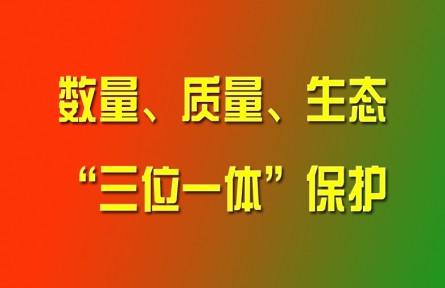 習(xí)近平論強(qiáng)化耕地?cái)?shù)量、質(zhì)量、生態(tài)“三位一體”保護(hù)