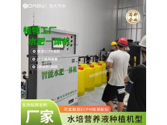 植物工廠水肥一體化設(shè)備 智慧農(nóng)業(yè)營養(yǎng)液水培蔬菜自動灌溉施肥機