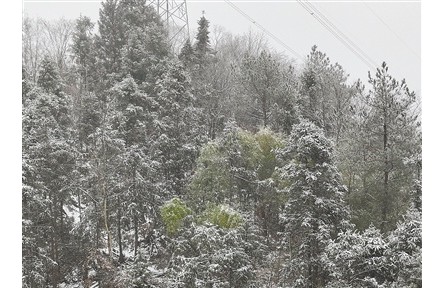 未來兩天將進(jìn)入本輪雨雪過程最強(qiáng)時(shí)段 多地多部門合力應(yīng)對(duì)低溫雨雪冰凍天氣