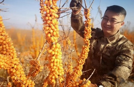 中國青年五四獎章獲得者王軍揚：為鄉(xiāng)村振興貢獻智慧和力量