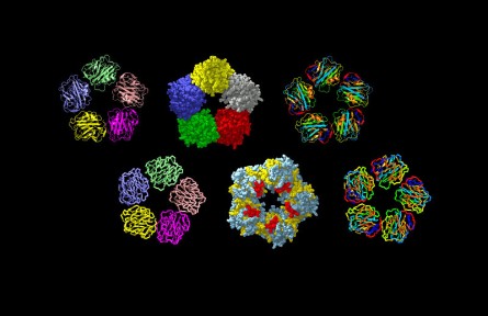 科技名詞|C反應蛋白 C-reactive protein；CRP