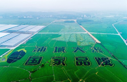 福建浦城：科技賦能，大米產(chǎn)業(yè)邁進數(shù)字化時代