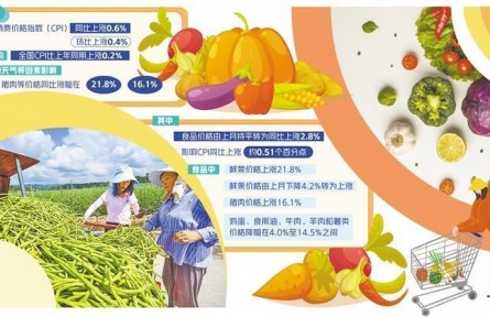 雙節(jié)將至菜籃子準備好了嗎——山東地區(qū)蔬菜價格調查