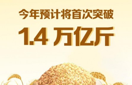 今年糧食產(chǎn)量預(yù)計(jì)將首次突破1.4萬億斤