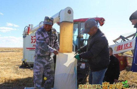 破“堿”重生！吉林鹽堿地變形記