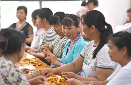 新華時(shí)評：一張藍(lán)圖繪到底——“解碼中國打贏脫貧攻堅(jiān)戰(zhàn)的世界意義”系列評論之二