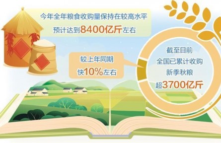 全年糧食收購預(yù)計達(dá)8400億斤左右——做好糧食流通大文章