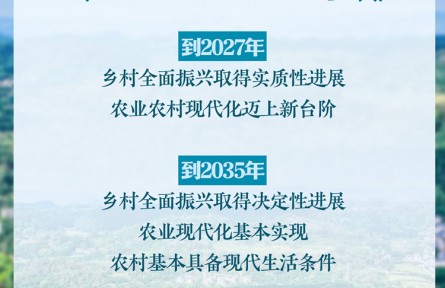 中共中央、國務(wù)院印發(fā)《鄉(xiāng)村全面振興規(guī)劃（2024—2027年）》新華社快報