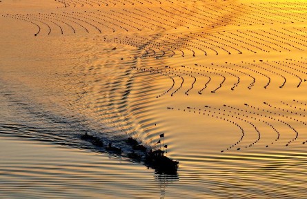 春耕沃野生機勃勃 各地加緊春季農(nóng)業(yè)生產(chǎn)