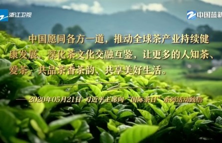 第一視點(diǎn)|一片葉子如何泡出兩種新味