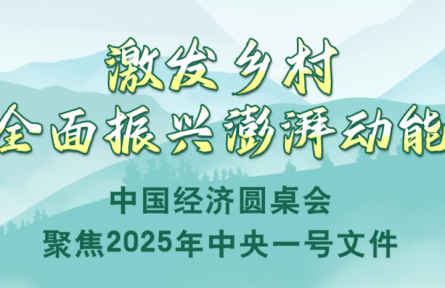 激發(fā)鄉(xiāng)村全面振興澎湃動能——中國經濟圓桌會聚焦2025年中央一號文件