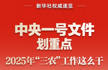 中央一號文件劃重點，2025年“三農(nóng)”工作這么干