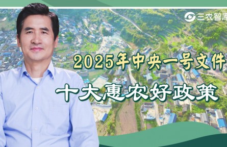 2025年中央一號(hào)文件解讀：十大惠農(nóng)好政策