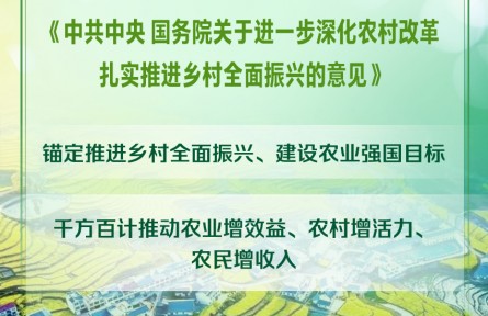 2025年中央一號文件發(fā)布 提出扎實推進鄉(xiāng)村全面振興